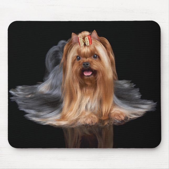 Yorkshire Terrier on black Mouse Mat (Front)