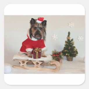 yorkshire-terrier-on sled square sticker