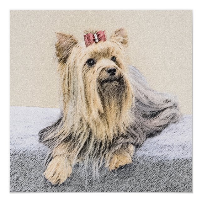 Yorkshire Terrier Painting - Cute Original Dog Art Poster (Front)