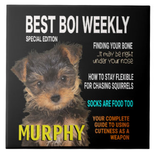 Yorkshire Terrier Parody Magazine Cover Tile