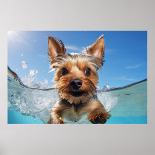 Yorkshire Terrier Pet Dog Animal Fun Poster
