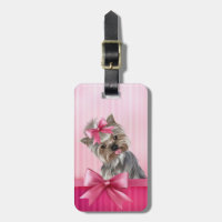 Yorkshire Terrier Pink Princess Yorkie Puppy Dog