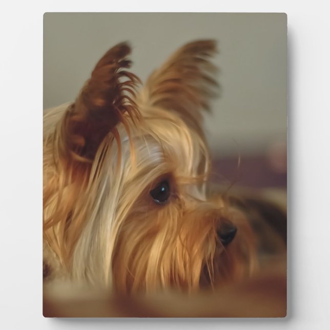 Yorkshire Terrier Plaque (Front)