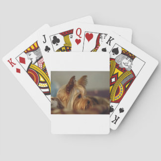 Yorkshire Terrier Playing Cards