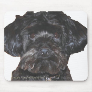 Yorkshire Terrier-Poodle Mix Mouse Mat