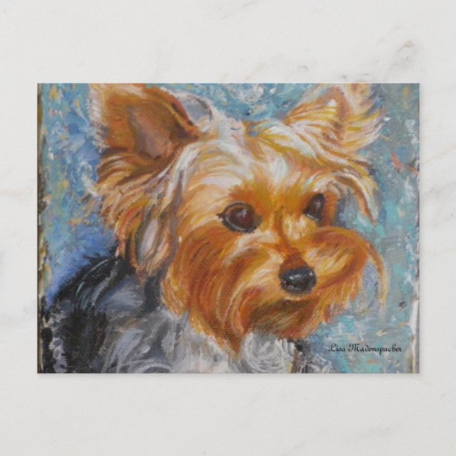 Yorkshire Terrier Post Card (Front)