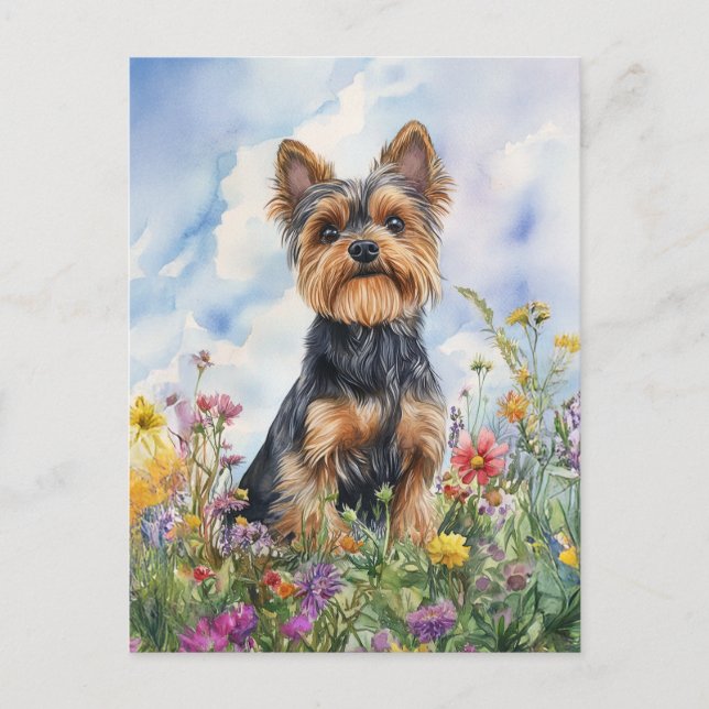 Yorkshire Terrier - Postcard (Front)