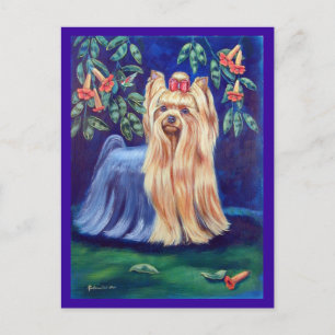 Yorkshire Terrier Postcard
