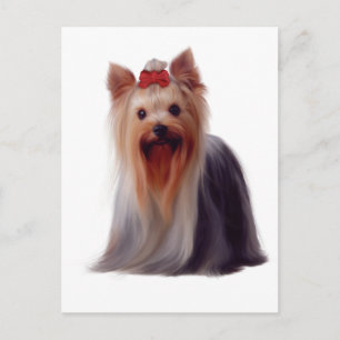 Yorkshire Terrier Postcard