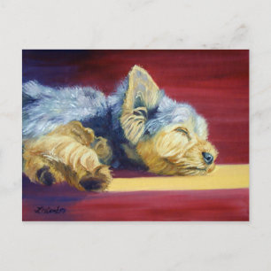 Yorkshire Terrier Postcard