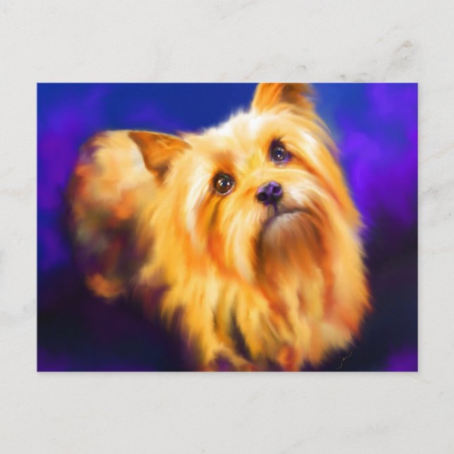 Yorkshire Terrier Postcard (Front)