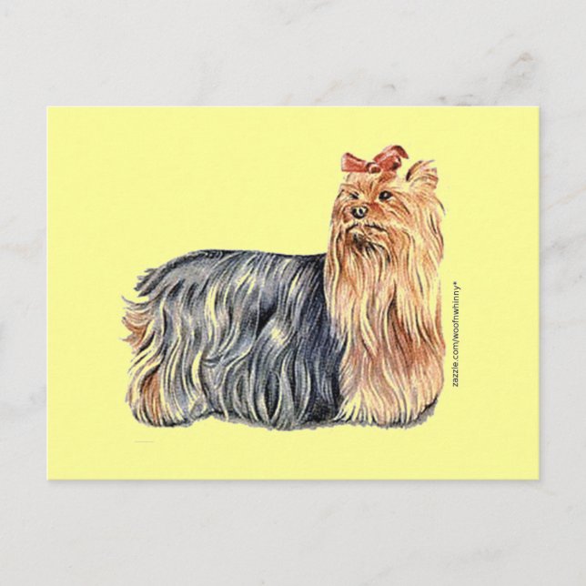 Yorkshire Terrier Postcard (Front)