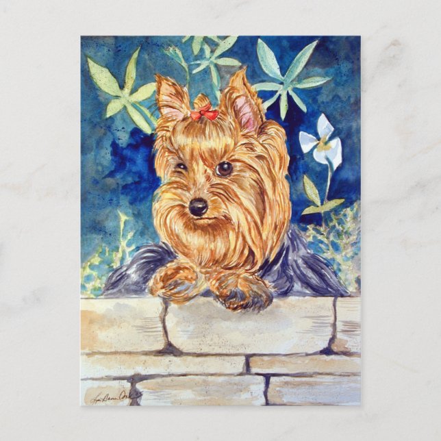 Yorkshire Terrier Postcard (Front)
