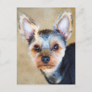 Yorkshire Terrier Postcard