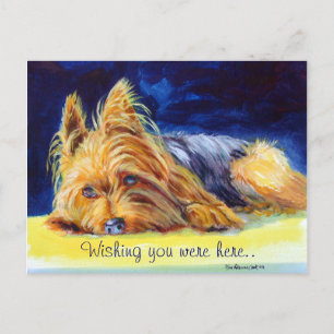 Yorkshire Terrier Postcards