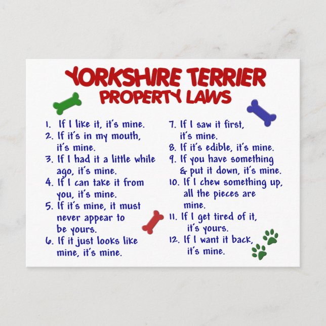 YORKSHIRE TERRIER Property Laws 2 Yorkie Postcard (Front)