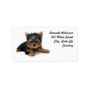 Yorkshire Terrier Puppy Address Label
