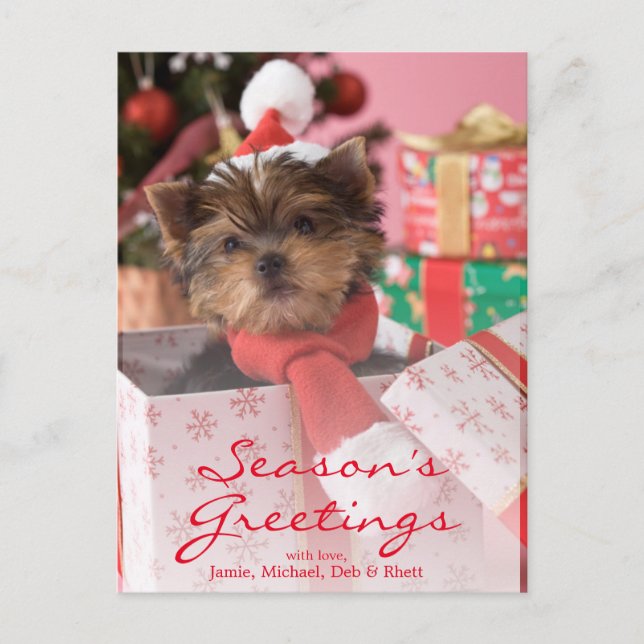 Yorkshire Terrier Puppy and Christmas 2 Holiday Postcard (Front)