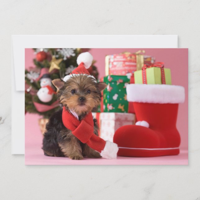 Yorkshire Terrier Puppy and Christmas Holiday Card (Front)
