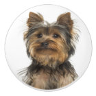 Yorkshire Terrier Puppy Dog Blank Post Card