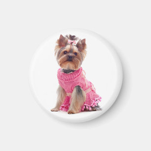 Yorkshire Terrier Puppy Dog in a Pink Dress Magnet