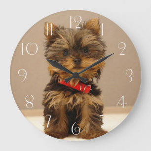 Yorkshire Terrier Puppy Dog Large Clock