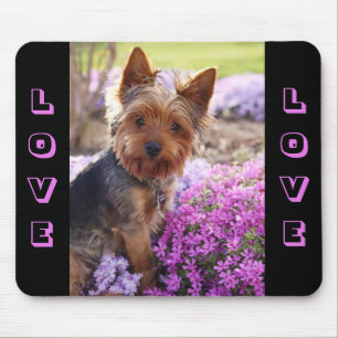 Yorkshire Terrier Puppy Dog Love  Mousepad