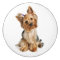 Yorkshire Terrier Puppy Dog Sticker / Seals