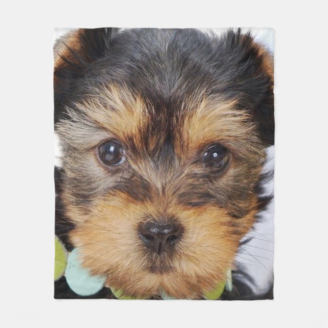Yorkshire Terrier Puppy Fleece Blanket (Front)