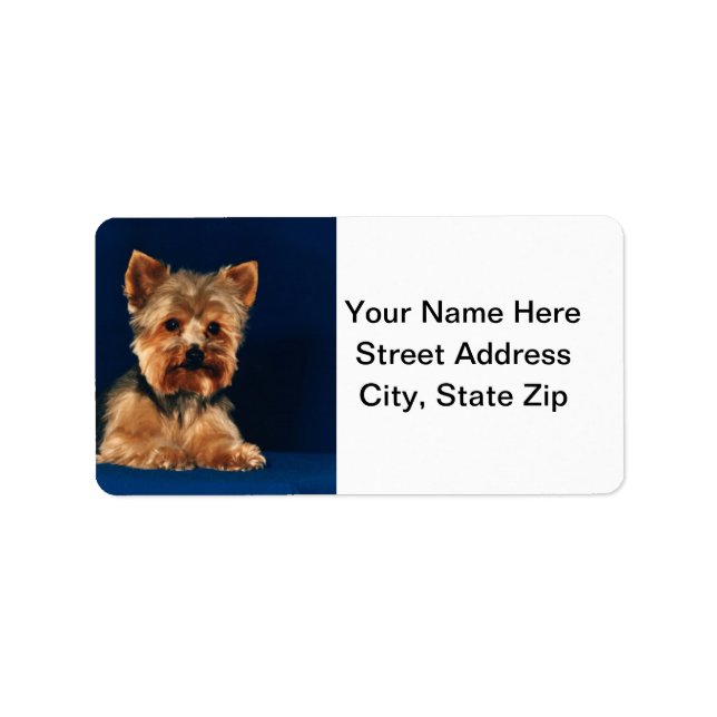 Yorkshire Terrier Puppy Label (Front)