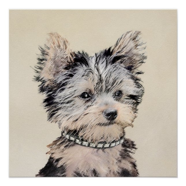 Yorkshire Terrier Puppy Painting Original Dog Art Poster (Front)