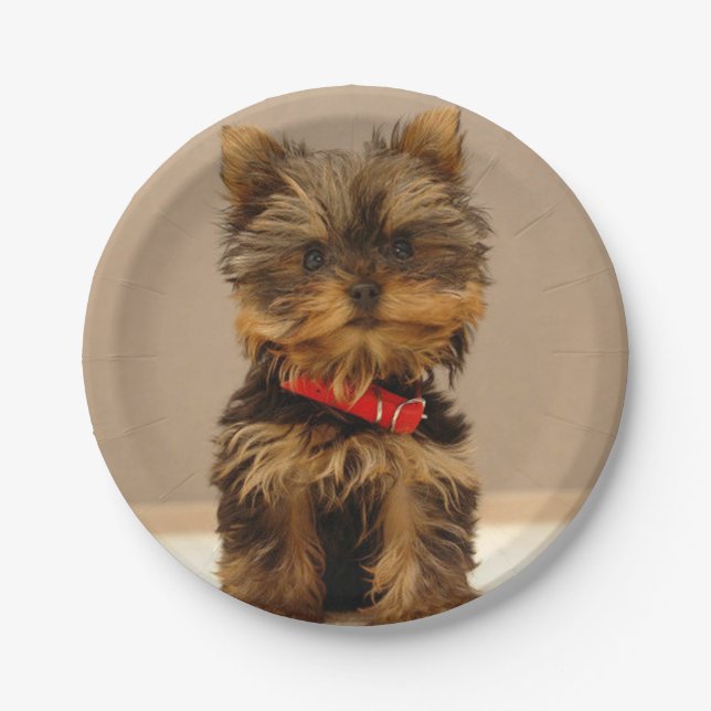 Yorkshire Terrier Puppy Paper Plate (Front)