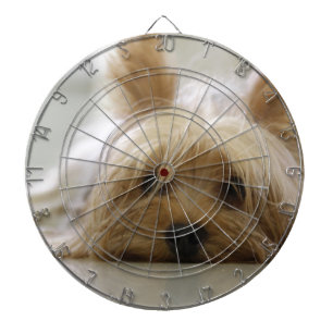 yorkshire terrier puppy pet cute dog face eyes dartboard