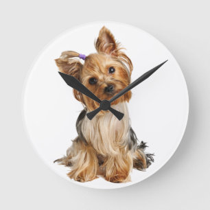 Yorkshire Terrier Puppy Round Clock