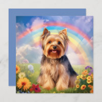 Yorkshire Terrier Rainbow Bridge Yorkie Sympathy