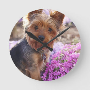 Yorkshire Terrier Round Clock