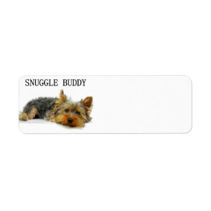 yorkshire-terrier snuggle buddy