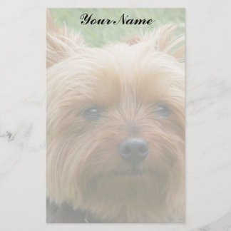 Yorkshire Terrier Stationery