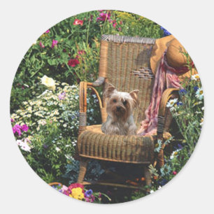 Yorkshire Terrier Sticker Garden