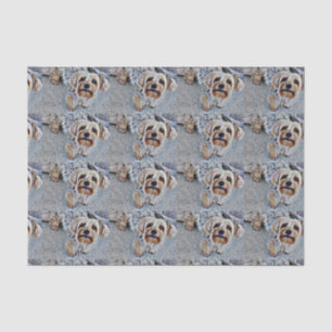Yorkshire Terrier Tissue Paper