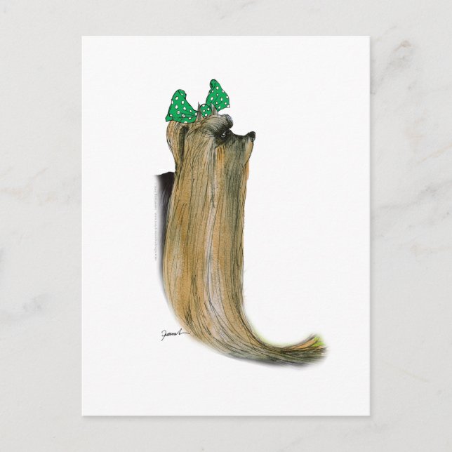 Yorkshire Terrier, tony fernandes Postcard (Front)