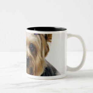Yorkshire terrier wearing red bows Two-Tone coffee mug