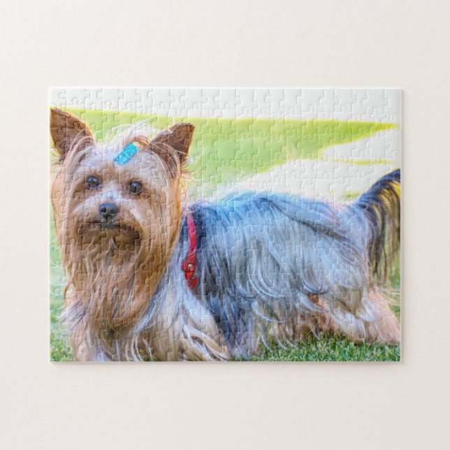 Yorkshire Terrier Yorkie Breed Dog Puppy Jigsaw Puzzle (Horizontal)