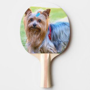 Yorkshire Terrier Yorkie Favourite Breed Ping Pong Paddle