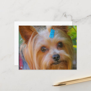 Yorkshire Terrier Yorkie Favourite Breed Postcard