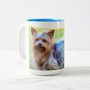 Yorkshire Terrier Yorkie Favourite Breed  Two-Tone Coffee Mug