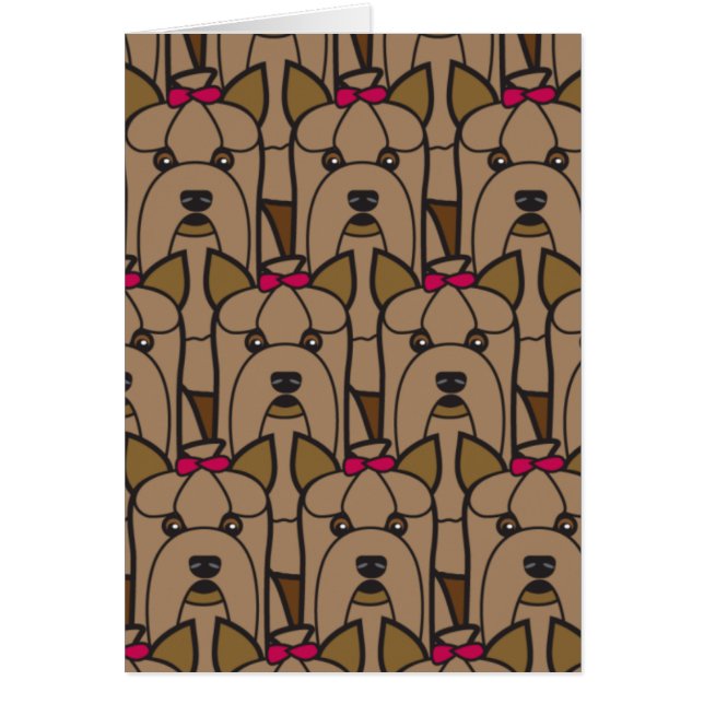 Yorkshire Terriers (Front)