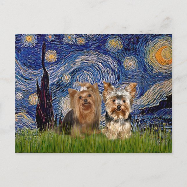Yorkshire Terriers (7and17) - Starry Night Postcard (Front)