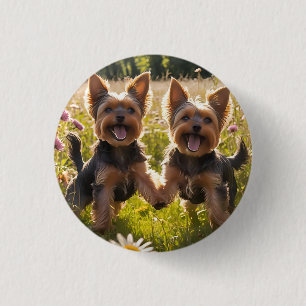 Yorkshire Terriers Playing in the Grass 3 Cm Round Badge