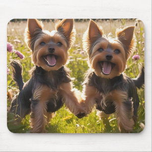 Yorkshire Terriers Playing in the Grass Mouse Mat